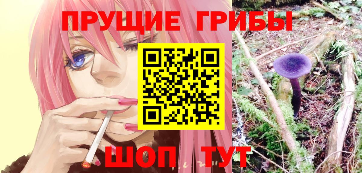 Галлюциногенные грибы мухоморы Северобайкальск