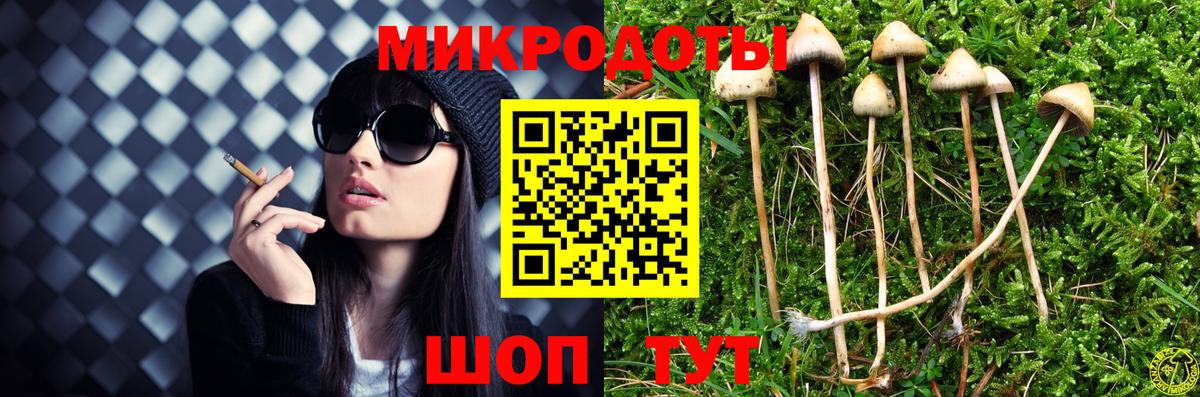 Галлюциногенные грибы MAGIC MUSHROOMS  Вход с VPN  Северобайкальск 